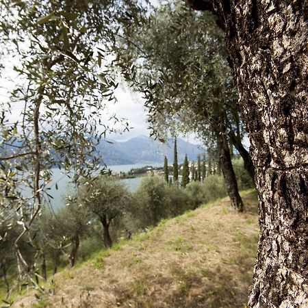 Residence Le Balze Μαλτσεζίνε Εξωτερικό φωτογραφία