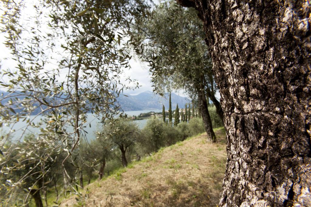 Residence Le Balze Μαλτσεζίνε Εξωτερικό φωτογραφία